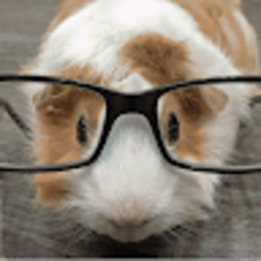 Meet your Posher, The nerdy